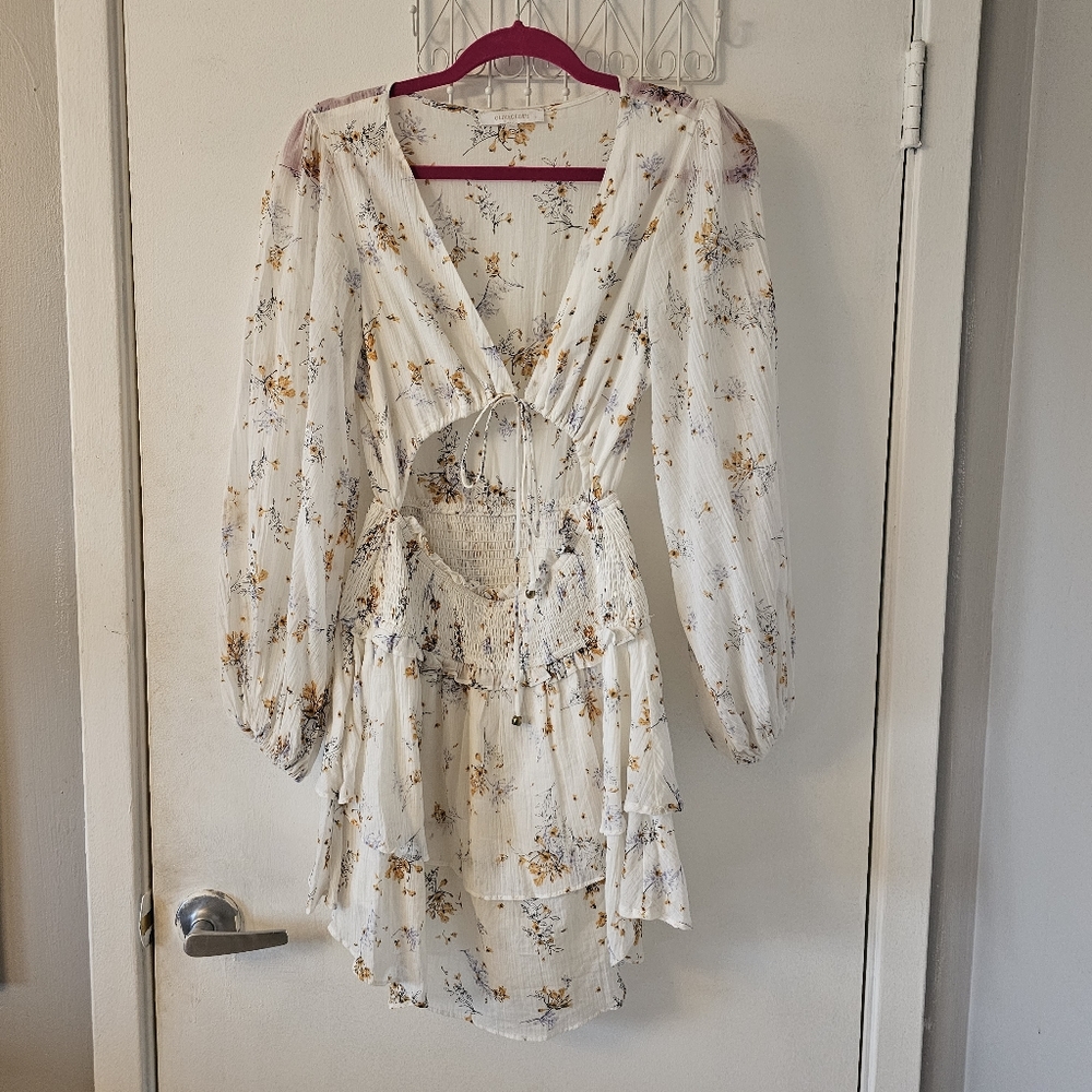 Oliveacous Mini Dress
